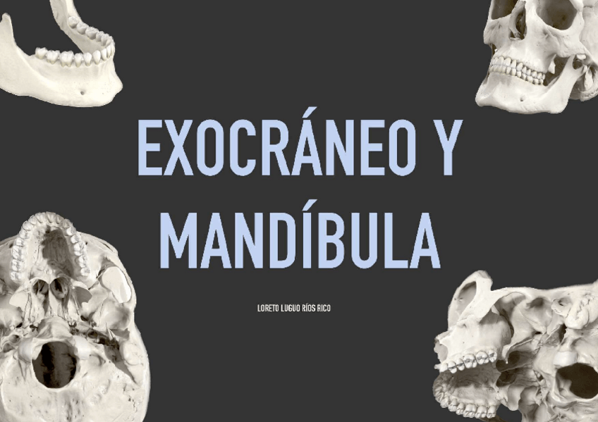 Miniatura del documento PRACTICA-2-EXOCRANEO-Y-MANDIBULA.pdf