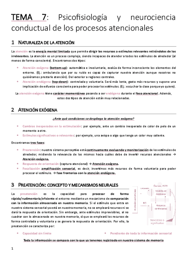 Miniatura del documento TEMA-7.pdf
