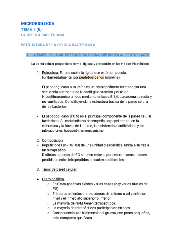 Miniatura del documento TEMA-5-II.pdf