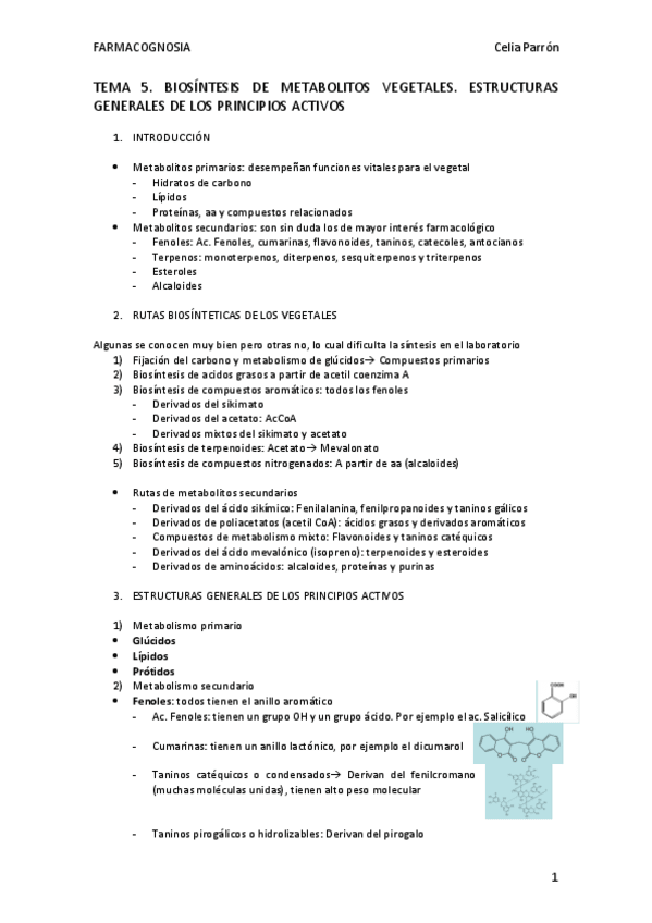 Miniatura del documento TEMA-5.pdf