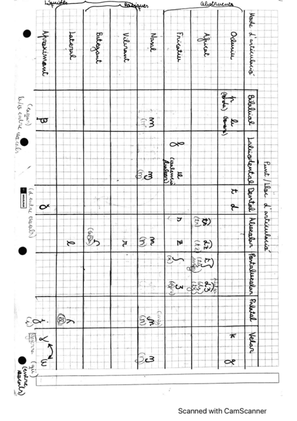 Miniatura del documento resum-fonetica.pdf