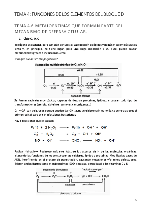Miniatura del documento Tema 4.6.pdf