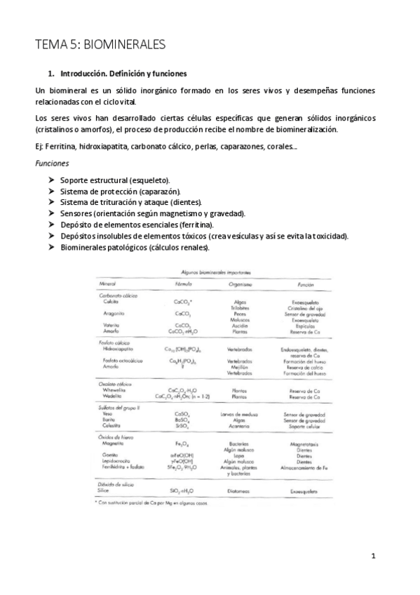 Miniatura del documento Tema 5.pdf