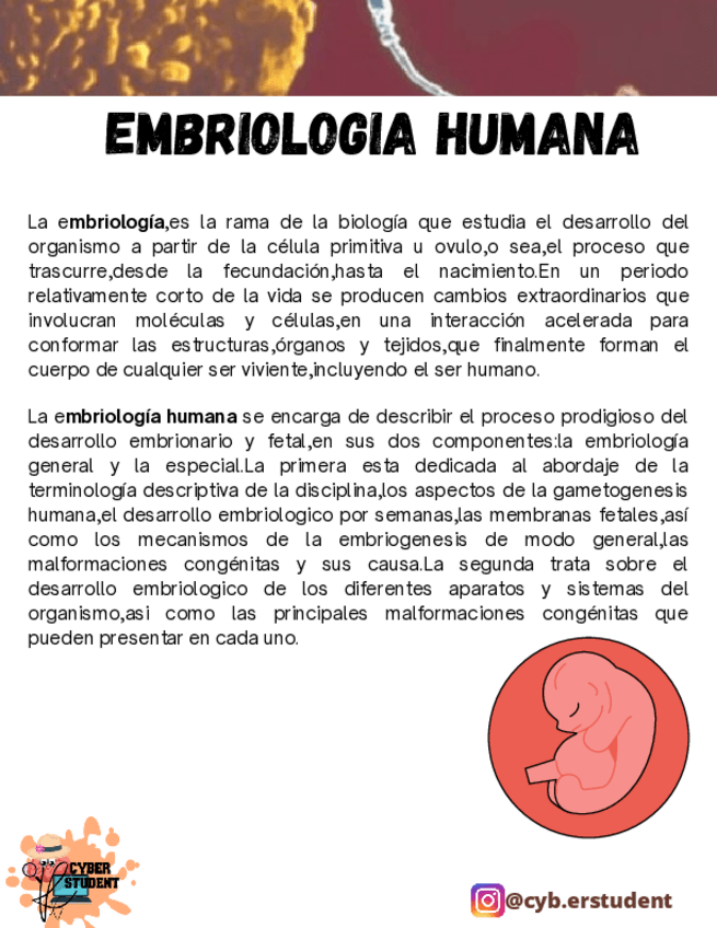 Miniatura del documento EMBRIOLOGIA-HUMANA.pdf