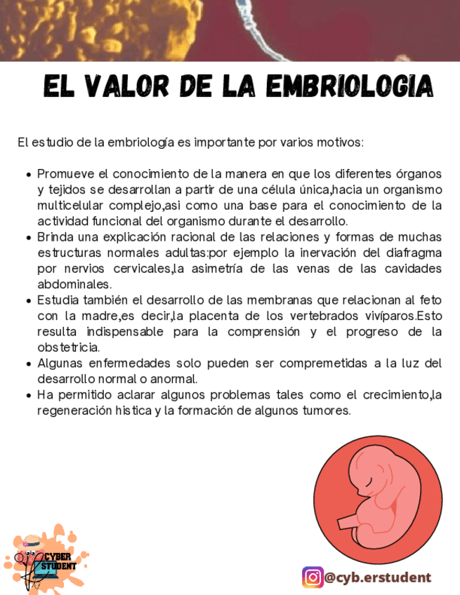 Miniatura del documento EL-VALOR-DE-LA-EMBRIOLOGIA.pdf