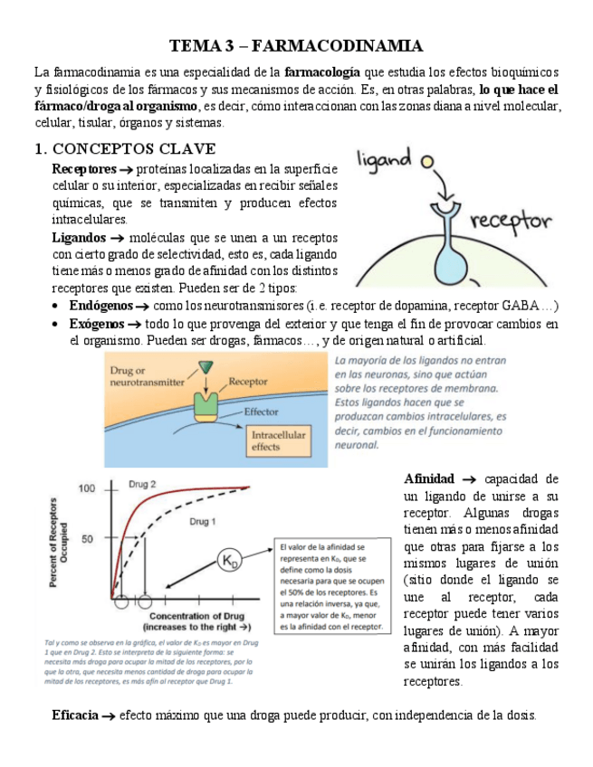 Miniatura del documento TEMA-3-PSICOFARMA.pdf
