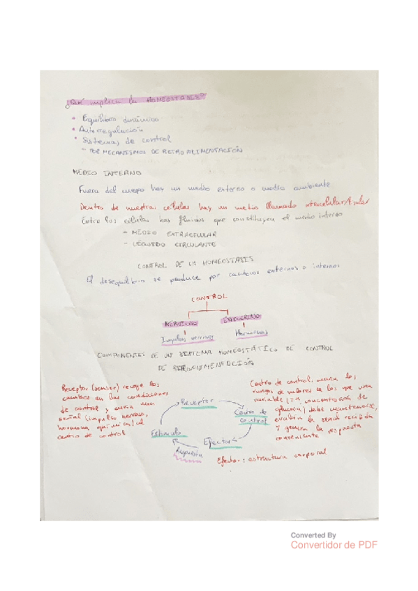 Miniatura del documento Homeostasis-Anatomia.pdf