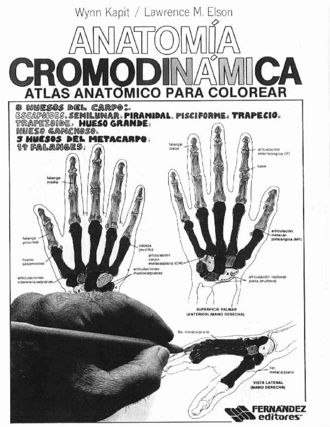 Miniatura del documento ANATOMIA-CROMODINAMICA.pdf