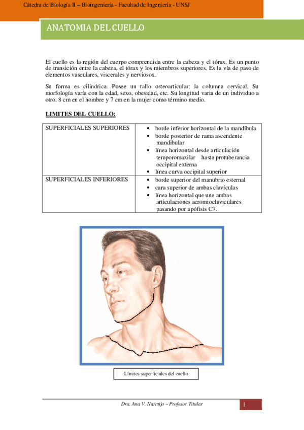 Miniatura del documento cuello.pdf