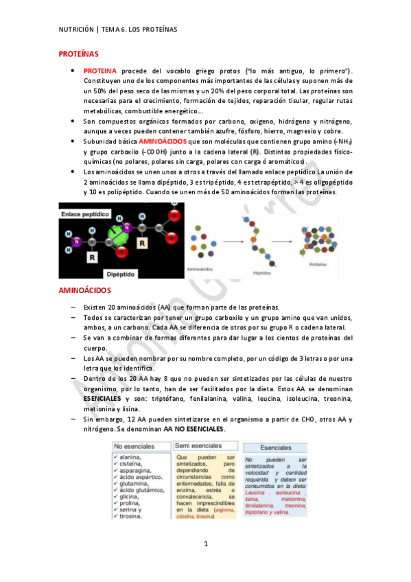 Miniatura del documento TEMA-6-PROTEINAS-AG.pdf