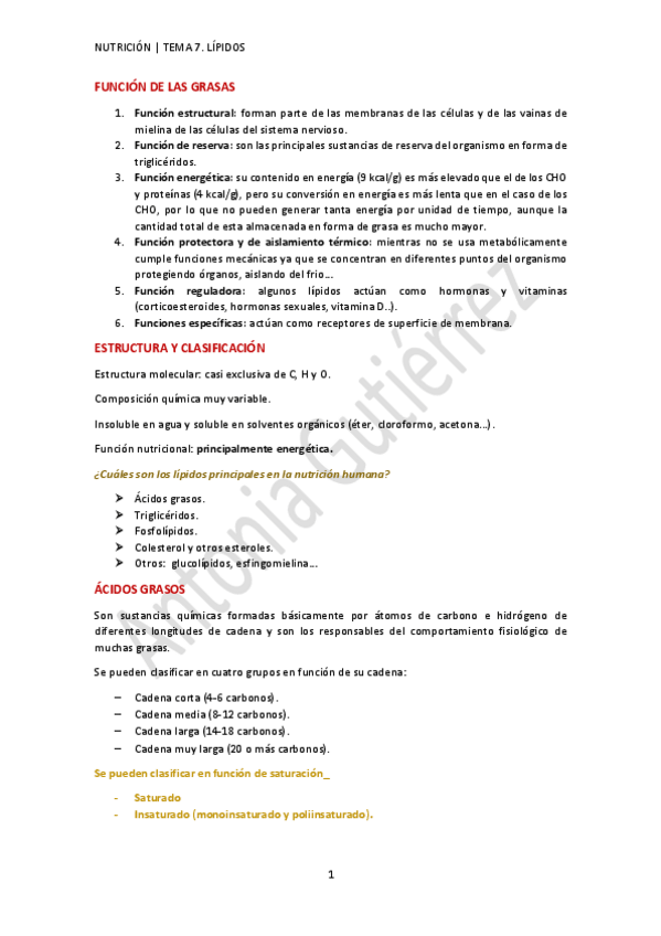 Miniatura del documento TEMA-7.-LIPIDOS-AG.pdf