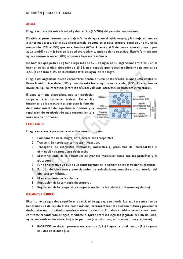 Miniatura del documento TEMA-10.-EL-AGUA-AG.pdf