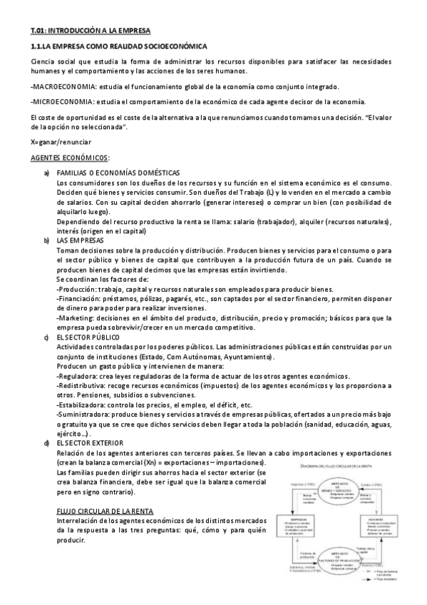 Miniatura del documento resumen-parcial1.pdf