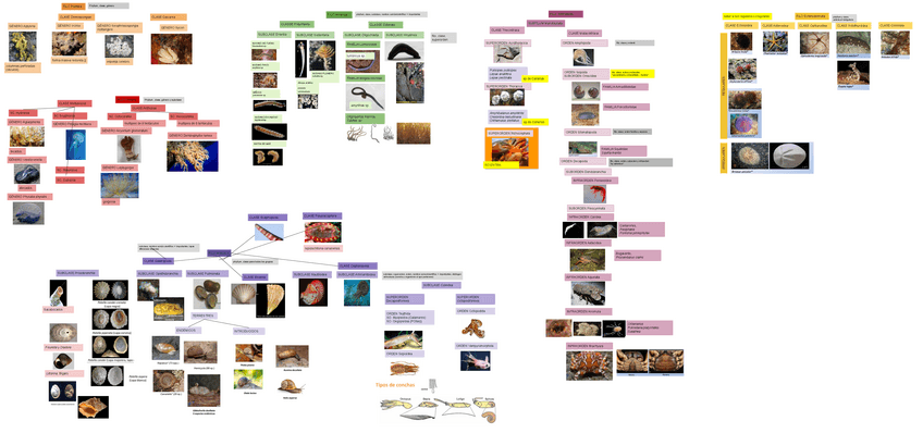 Miniatura del documento Resumen-practicas.pdf