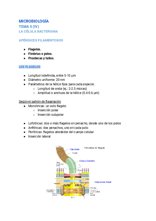 Miniatura del documento TEMA-5-IV.pdf