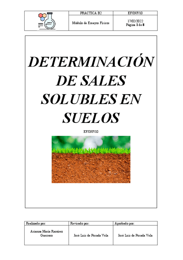 Miniatura del documento Ramirez-Guerrero-Arianna-Maria.-P-B2-SALES-SOLUBLES.pdf
