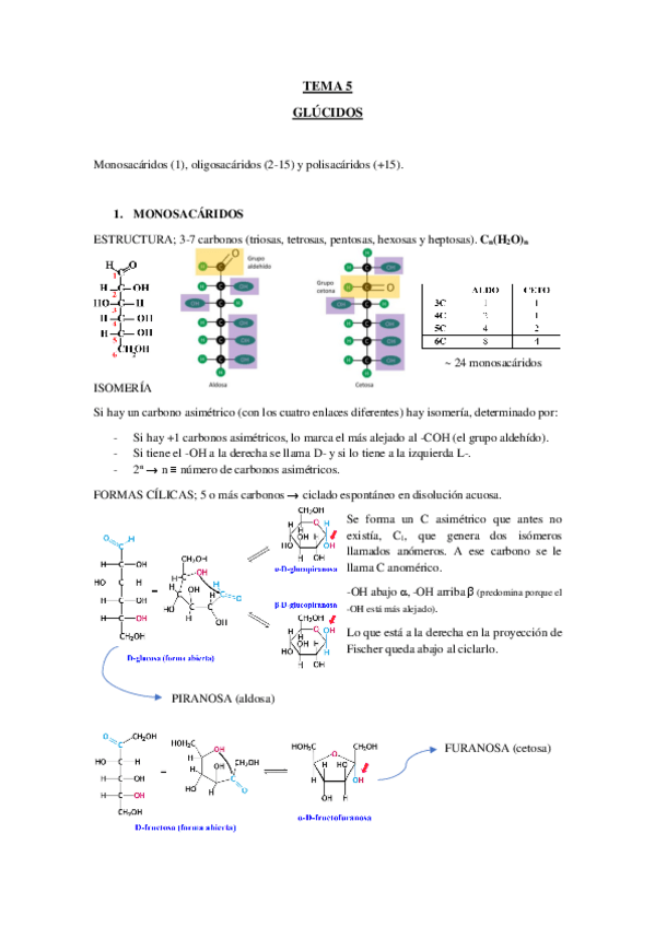 Miniatura del documento TEMA-5-GLUCIDOS.pdf