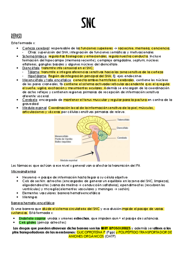 Miniatura del documento SNC.pdf