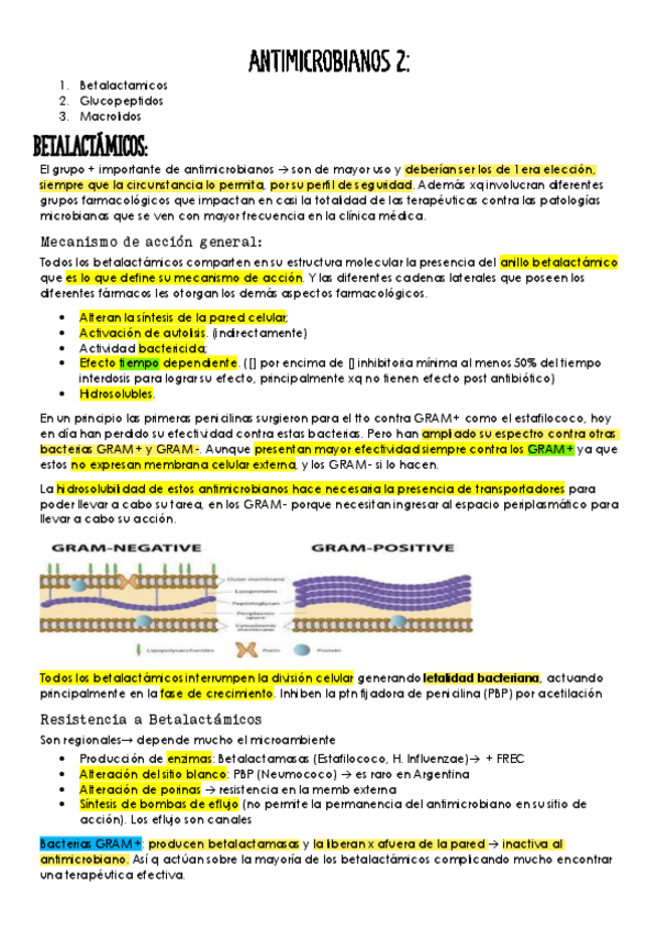 Miniatura del documento Antimicrobianos-2.pdf