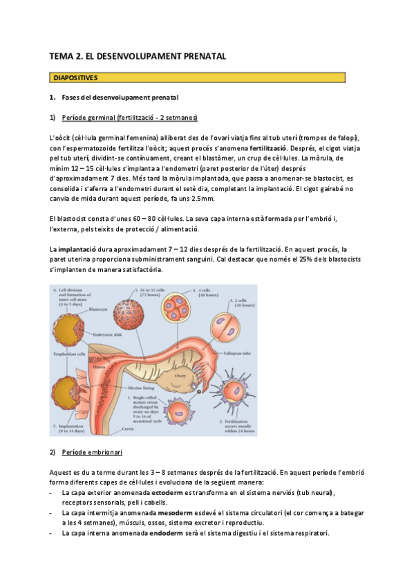 Miniatura del documento tema-2.pdf