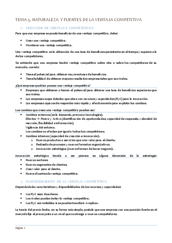 Miniatura del documento TEMA 5 NATURALEZA Y FUENTES DE LA VENTAJA COMPETITIVA RESUMEN.pdf