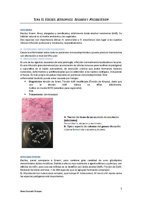 Miniatura del documento Tema-13-Micro.pdf