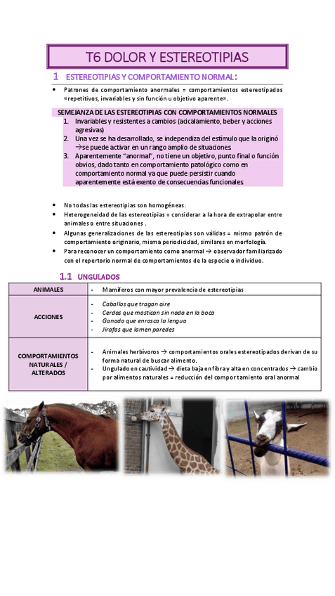 Miniatura del documento T6-DOLOR-Y-ESTEREOTIPIAS.pdf