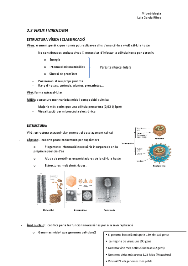 Miniatura del documento 2.3-VIURS-I-VIRIOLOGIA.docx.pdf