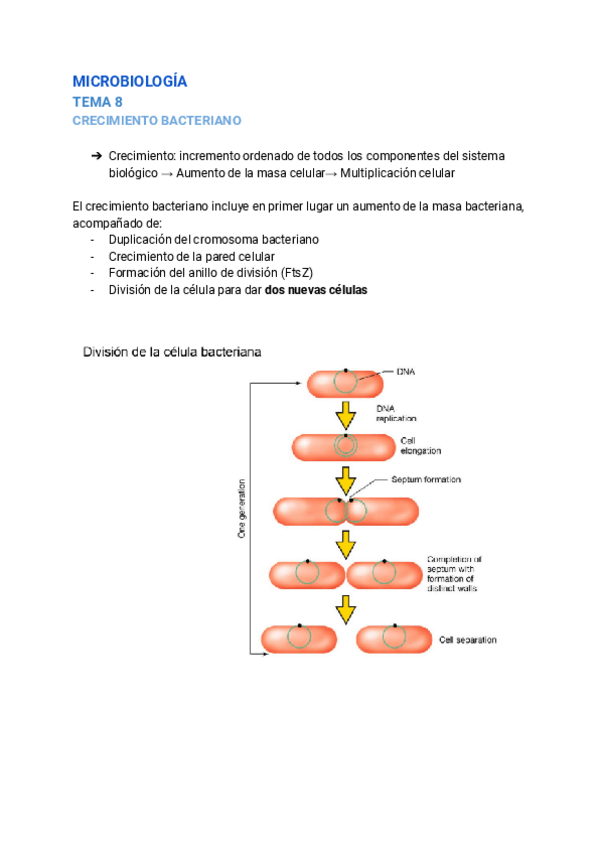 Miniatura del documento MICRO-TEMA-8.pdf