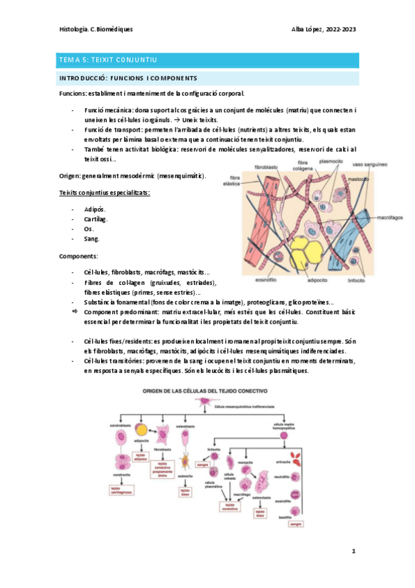 Miniatura del documento Tema-5-teixit-conjuntiu.pdf