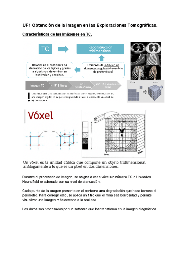 Miniatura del documento Apuntes-VT6-TC-y-Ecografia.pdf
