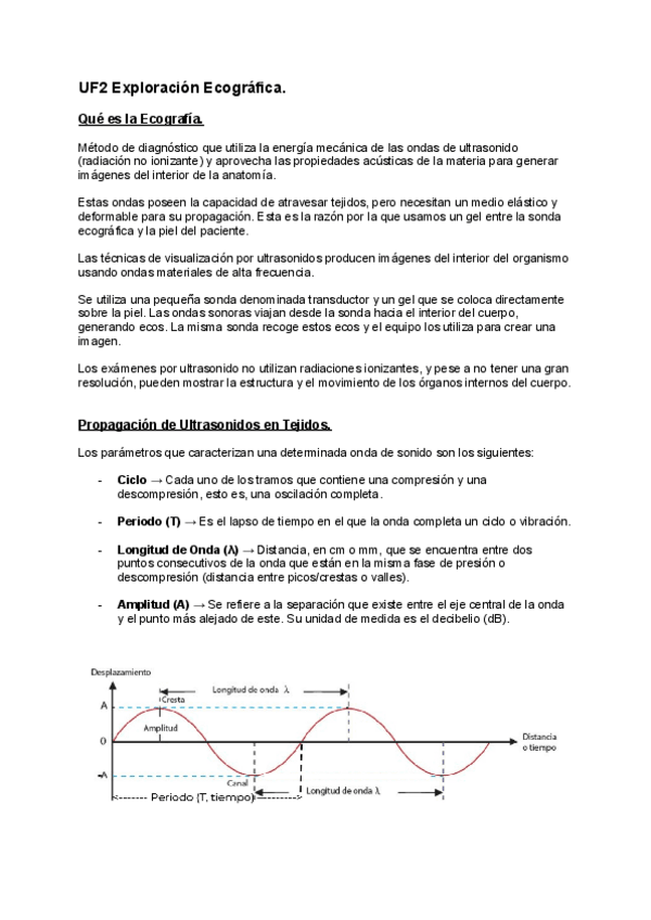 Miniatura del documento Apuntes-VT10-TC-y-Ecografia.pdf