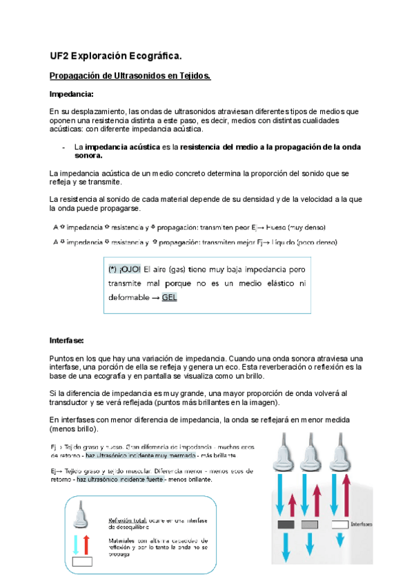 Miniatura del documento Apuntes-VT11-TC-y-Ecografia.pdf