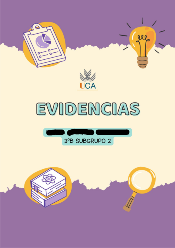 Miniatura del documento EVIDENCIAS.pdf