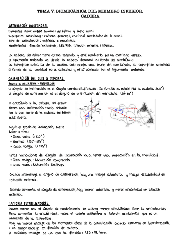 Miniatura del documento Tema-7.3.-Cadera.pdf