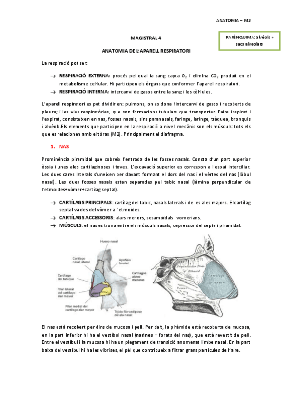 Miniatura del documento MAGISTRAL-4-APARELL-RESPIRATORI.pdf