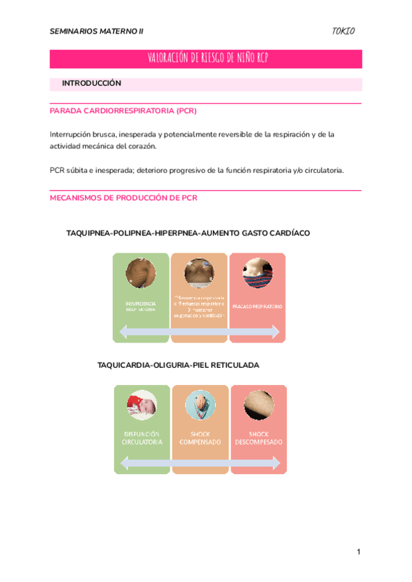 Miniatura del documento VALORACION-RIESGO-NINO-RCP.pdf