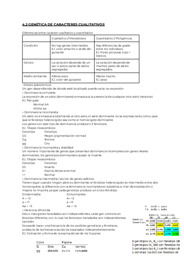 Miniatura del documento 4.2-GENETICA.pdf