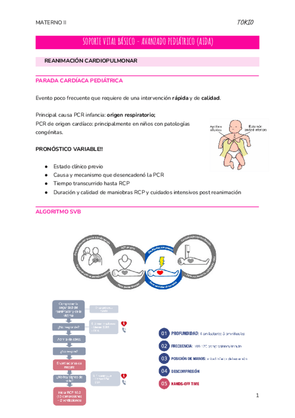 Miniatura del documento RCP-Aida.pdf