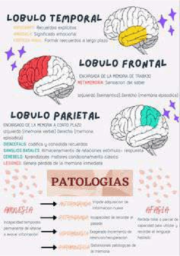 Miniatura del documento c78440d15b524f530f9710e22de10bbe-1-10.pdf