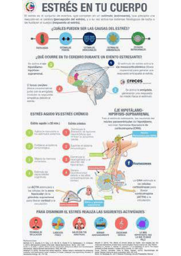 Miniatura del documento c78440d15b524f530f9710e22de10bbe-1-7.pdf