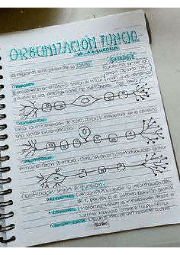 Miniatura del documento c78440d15b524f530f9710e22de10bbe-1-4.pdf