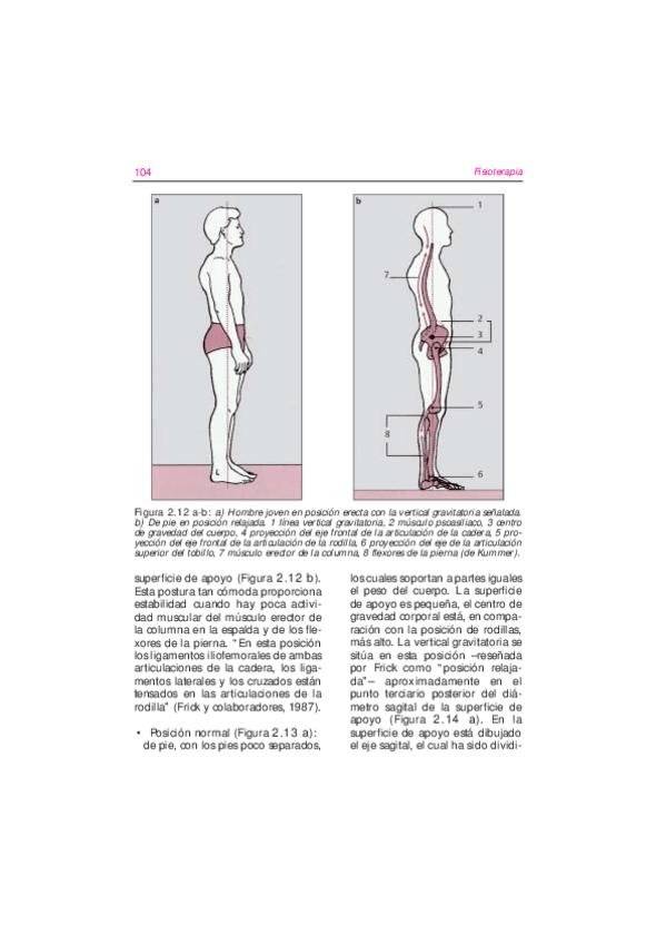 Miniatura del documento fundamentosdelafisioterapia-10.pdf