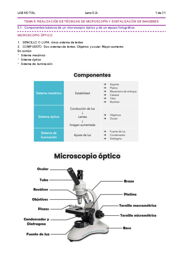 Miniatura del documento 05-TGL-Tema-5-Apuntes-Lena.pdf