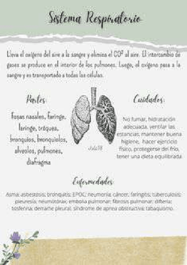 Miniatura del documento 2759430451261cc963b3b04770272b39-9.pdf