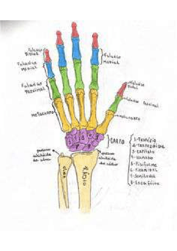 Miniatura del documento 2759430451261cc963b3b04770272b39-1.pdf