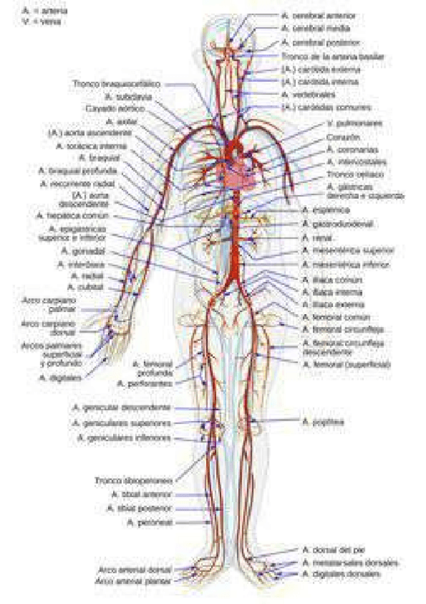 Miniatura del documento 2759430451261cc963b3b04770272b39-2.pdf