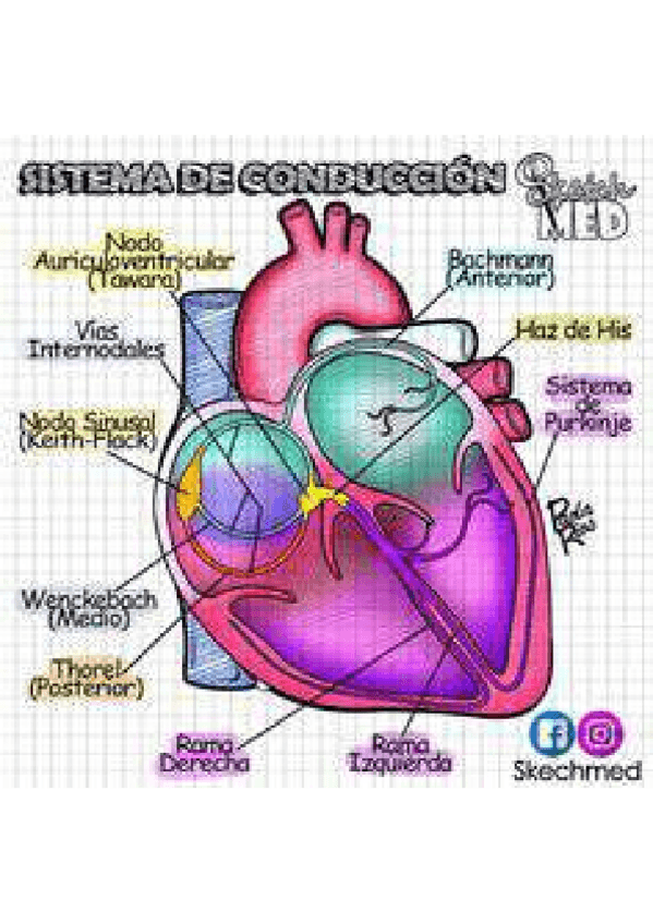 Miniatura del documento 2759430451261cc963b3b04770272b39-3.pdf