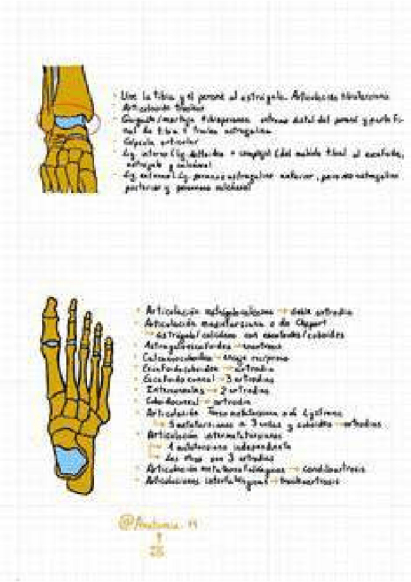 Miniatura del documento 2759430451261cc963b3b04770272b39-8.pdf