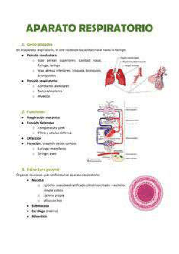 Miniatura del documento 2759430451261cc963b3b04770272b39-5.pdf